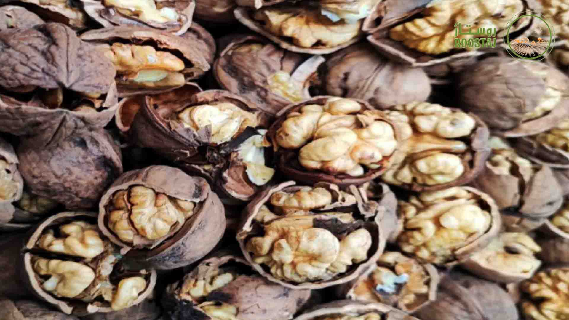 مغز گردو 
